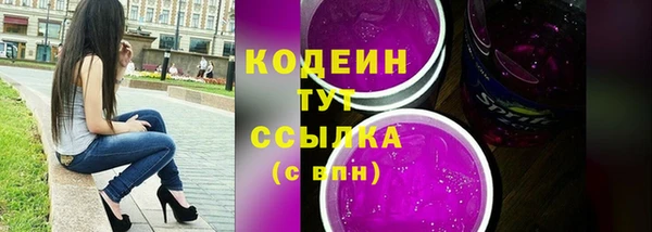 гашик Горняк