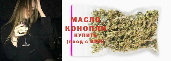 гашик Горняк
