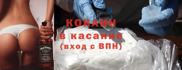 гашик Горняк