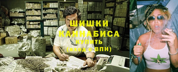 СК Гусев