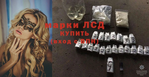 СК Гусев