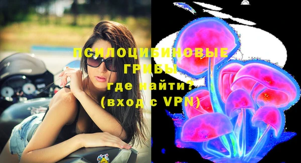 гашик Горняк