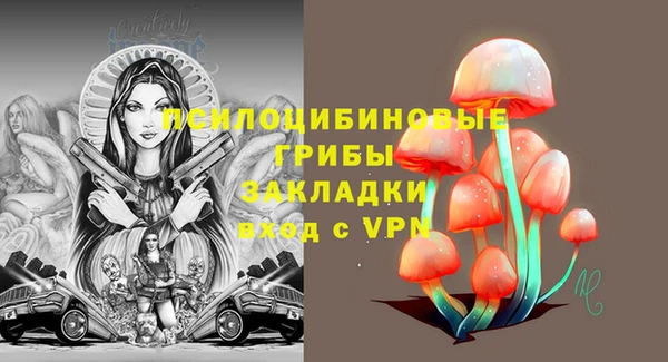 амф Гусиноозёрск