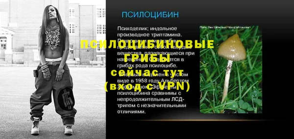 гашик Горняк