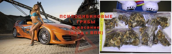 гашик Горняк
